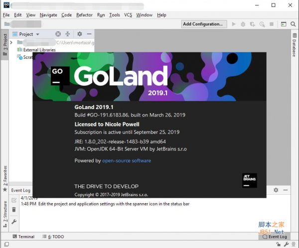 JetBrains GoLand 2020.1/2019.3.4 for Windows 汉化免费版(附使用步骤)