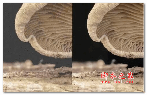 Topaz JPEG to RAW AI(jpg转raw格式工具) v2.1.1 免费安装版