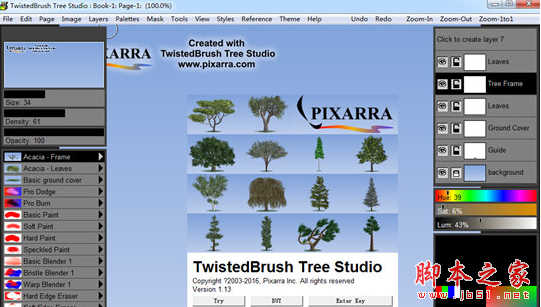 Tree Studio(2D树木生成软件) 4.10 免费特别版(附注册机+破解步骤)