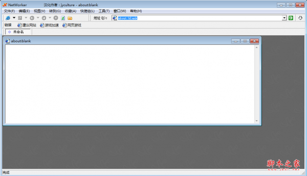 NetWorker(专业化多窗口浏览器) v2.70 绿色免费版