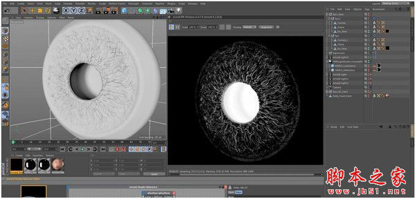 阿诺德渲染器SolidAngle C4DtoA 2.4.1 Cinema 4D R19 破解补丁 Mac一键安装版