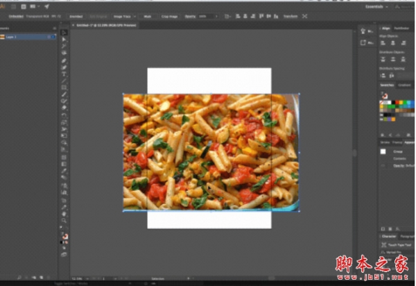图片跨软件复制粘贴AE扩展脚本AEscripts Copy Pasta V1.5.5 汉化一键安装版