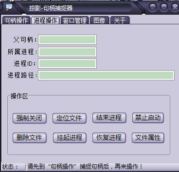 掠影句柄捕捉器 V2.1 绿色免费版