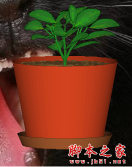 DeskSoft DesktopPlant(桌面植物) V3.4.0 免费绿色版