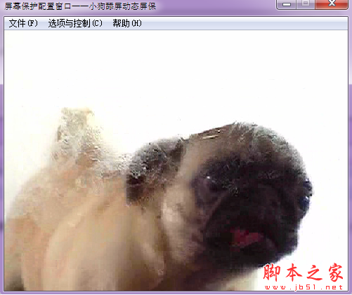 狗狗舔屏屏保 v1.4 免费绿色版