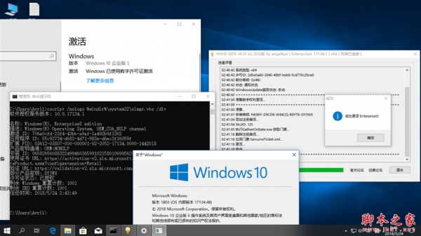 Win10数字激活工具 HWIDGen v62.01 永久激活汉化版