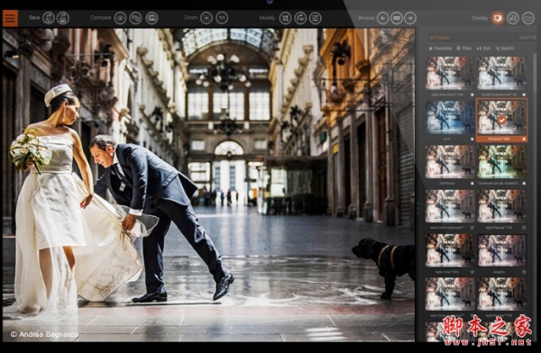 摄影师工具DxO FilmPack Elite v5.5.26 64位安装版
