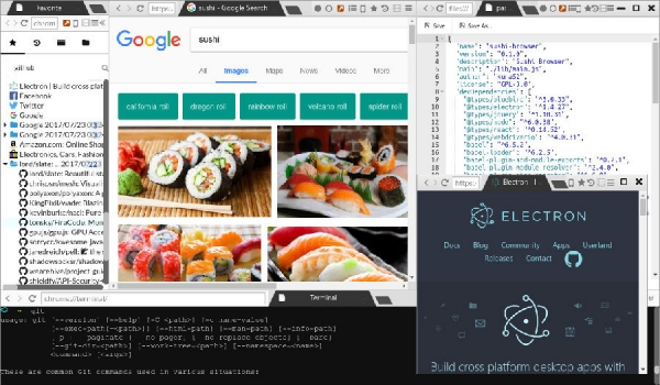 寿司浏览器专业版(Sushi Browser pro) v0.16.6 linux版