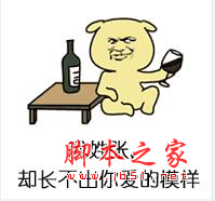 我姓李却离不开你表情包 5p 免费版