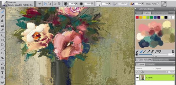 Corel Painter 2019(绘图软件) Mac v19.0 中/英文激活特别版(附破解补丁+安装教程)