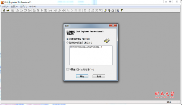 disk explorer professional(文件管理软件) V3.60f7 免费绿色汉化版