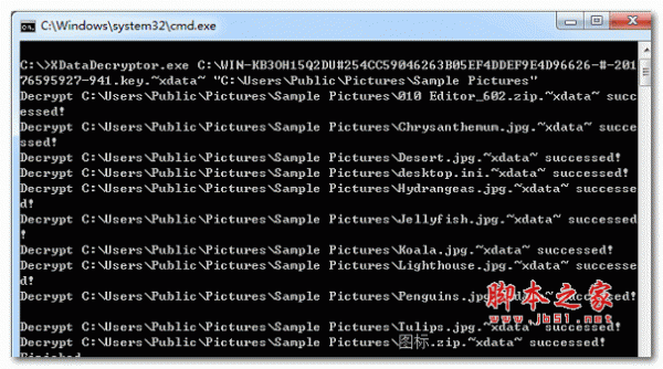 XData解密工具 1.0.3 官方免费版