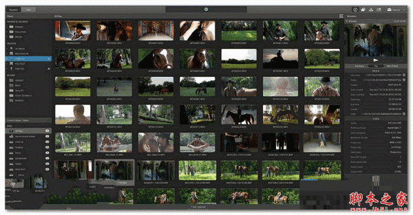 Sony Catalyst Prepare(照片后期处理软件) 2017.2 简体中文安装版