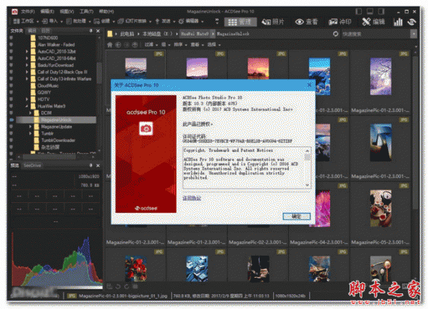 ACDSee Pro 10 v10.3.0.675 汉化精简特别版(免激活) 32位